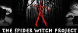 The spider witch project