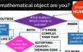 Which mathematical object are you?