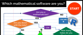 Which mathematical software are you?