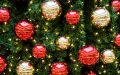 Christmas lights, trees and maths